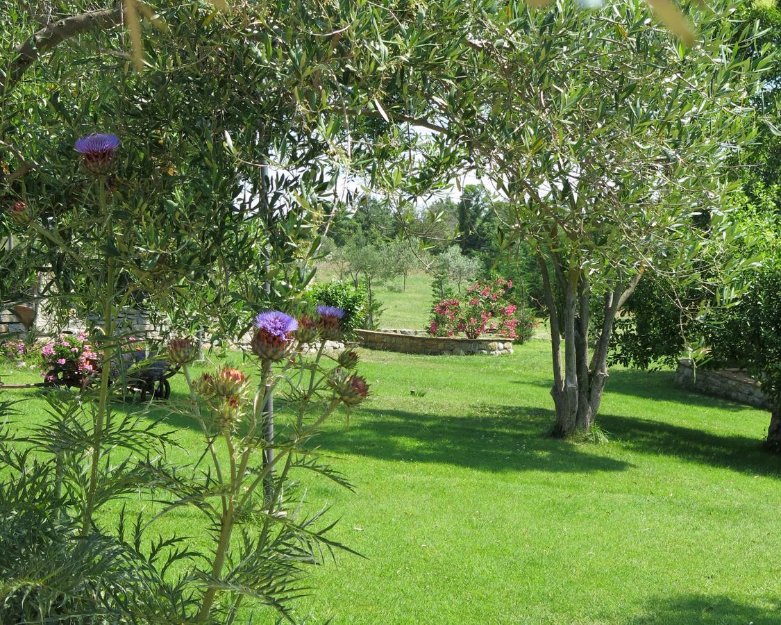 Fonte Magia Bed & Breakfast Castel de' Fiori Ngoại thất bức ảnh